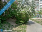 Sprzedam 3 pokojowe z ogródkiem - 2