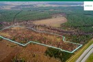 Działka inwestycyjna Strzelno gm. Pieńsk - 6