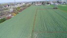 Działka budowlana Ciecierzyn gm. Niemce - 1
