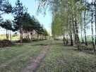 Działka rolna Ręczaje Polskie gm. Poświętne - 5