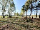 Działka rolna Ręczaje Polskie gm. Poświętne - 6