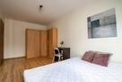 Psie Budy 18/19, Stary Rynek,2 pokoje,pet friendly - 3