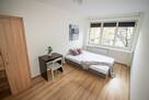 Psie Budy 18/19, Stary Rynek,2 pokoje,pet friendly - 4