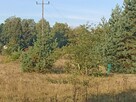 Sprzedam działkę inwestycyjną z warunkami zabudowy - 9