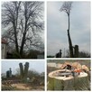 Wycinka Drzew, Podnośnik Koszowy, Prace Ogrodnicze, - 2