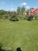 Sprzedam działkę ROD “Sarenka” w Częstochowie, ul. Kusocińsk - 10