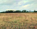 DZIAŁKA BUDOWLANA 1000 m² – BARUCHOWO, BEZ POŚREDNIKÓW - 3