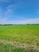 Działki Budowlane Strożyska NOWY Korczyn Busko Zdrój Media O - 3