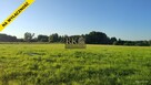 Działka pod budowę domu powierzchnia 3334m2 - 5