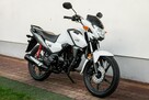 Honda CB 125 F 2023 POLIFT  Raty Wysyłka TRANSPORT Największy Wybór Moto - 2