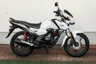Honda CB 125 F 2023 POLIFT  Raty Wysyłka TRANSPORT Największy Wybór Moto - 3