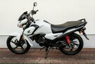 Honda CB 125 F 2023 POLIFT  Raty Wysyłka TRANSPORT Największy Wybór Moto - 6