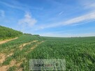Działka usługowa Nowa Wieś Legnicka gm. Legnickie Pole - 6