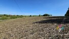 Atrakcyjna działka ze stawem, pod siedlisko - 7