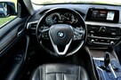 520d 190Km_Luxury Line Duża Navi Xenon Skóra Full Opcja - 6