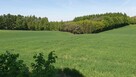 Grunt rolny+duża działka+ budynek gospodarczy z garażem. - 16
