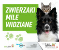 Keramzyt ogrodowy 2-8mm, nie piasek Lublin ATUT-BIS WROTKÓW - 3
