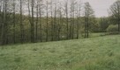 Działka 4530m2 - 2