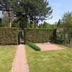 Przycinanie żywopłotów - 1