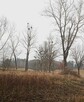 Działka, I linia zabudowy, z dostępem do jeziora, Mragowo - 10