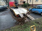 Przycinanie żywopłotów - 7