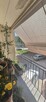 siatka na balkon okna przeciw gołębią ptakom, dla kotka - 12