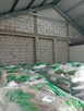 Pellet - 4