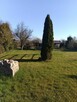 Ogródek działkowy, działka ogrodowa - 4