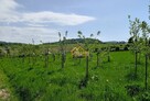 Domek rekreacyjny z panoramicznym widokiem – Twoje miejsce - 5