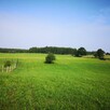 Działki budowlane w Kretowinach nad jeziorem Narie. - 8