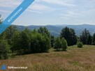 Brenna 2,53 ha z prawem zabudowy inwestycyjna blisko wyciągu orzcykowego - 3