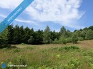 Brenna 2,53 ha z prawem zabudowy inwestycyjna blisko wyciągu orzcykowego - 5