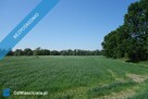 Skoczów Ochaby 57ar pod lasem widokowa pod rekreacje rolna - 3