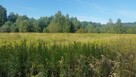 Działka rekreacyjna Rościsławice gm. Oborniki Śląskie, - 6