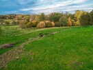 Działka rolno-budowlana Gościno - 12