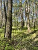 Działki na sprzedaż – Ciemne k. Radzymina - 4