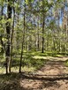 Działki na sprzedaż – Ciemne k. Radzymina - 6