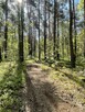 Działki na sprzedaż – Ciemne k. Radzymina - 8