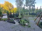 Zatrudnię osobę do prac w ogrodzie 70m2 - 1