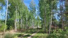 **Działka rekreacyjna, domek nad jeziorem** - 10
