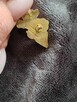Przypinka pin Nintendo Super Mario - 3