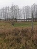 Piękna działka z linią brzegową przy lesie, Grabnik - 4
