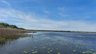 **Działka rekreacyjna, domek nad jeziorem** - 8