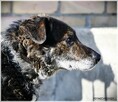 Esej – jeszcze pamięta dotyk troskliwej ręki - 6