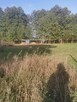 Piękna działka z linią brzegową przy lesie, Grabnik - 2