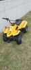 Quad - 5