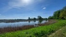 Niższa cena! Działka rolno-budowlana, woj. lubelskie - 11