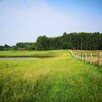 Działki budowlane w Kretowinach nad jeziorem Narie. - 10