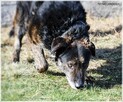 Esej – jeszcze pamięta dotyk troskliwej ręki - 4
