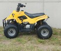 Quad - 2